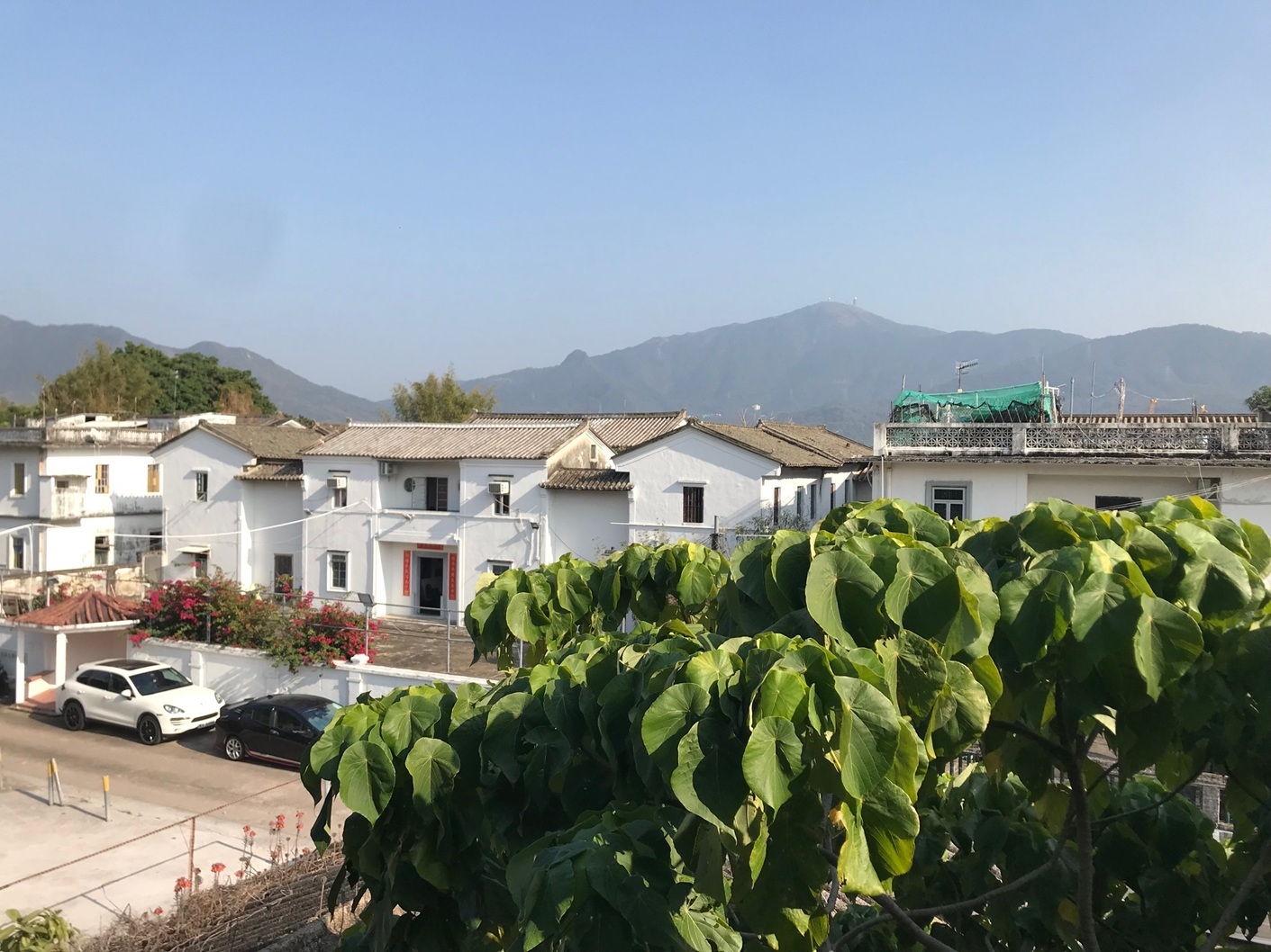 新界区 錦田