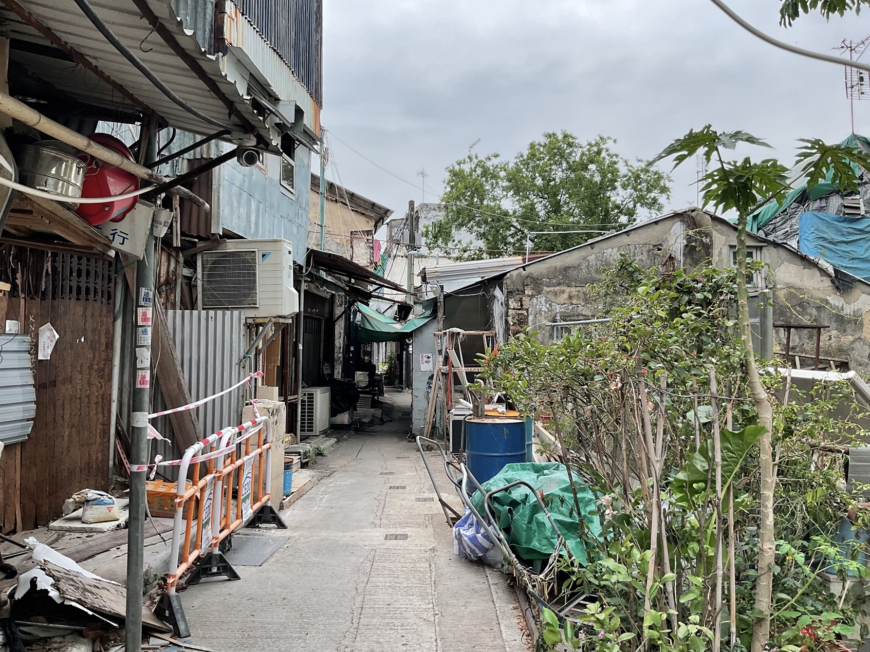 九龍区 九龍湾