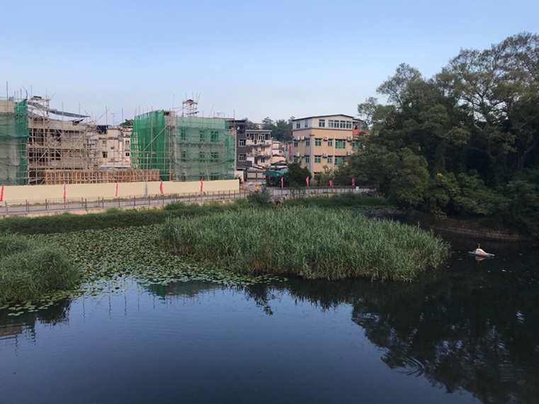 新界区 天水圍