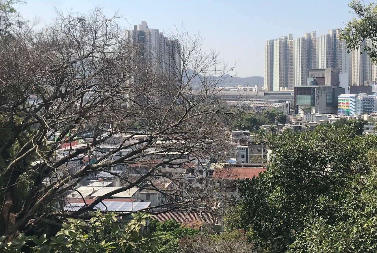 新界区 天水圍