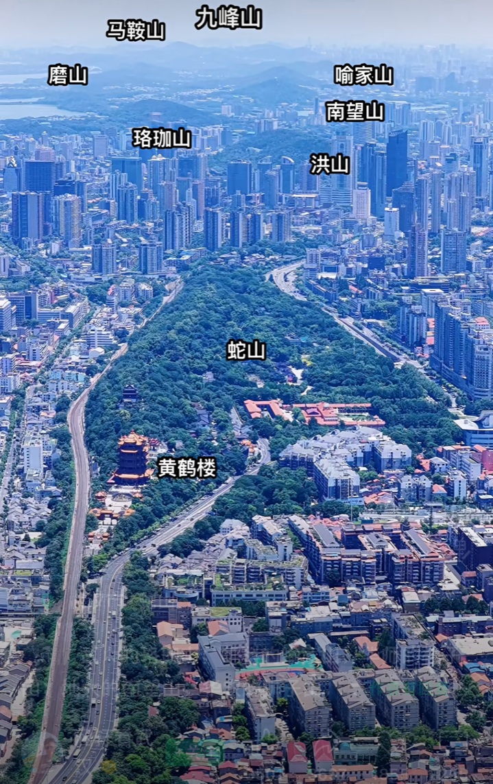武漢市