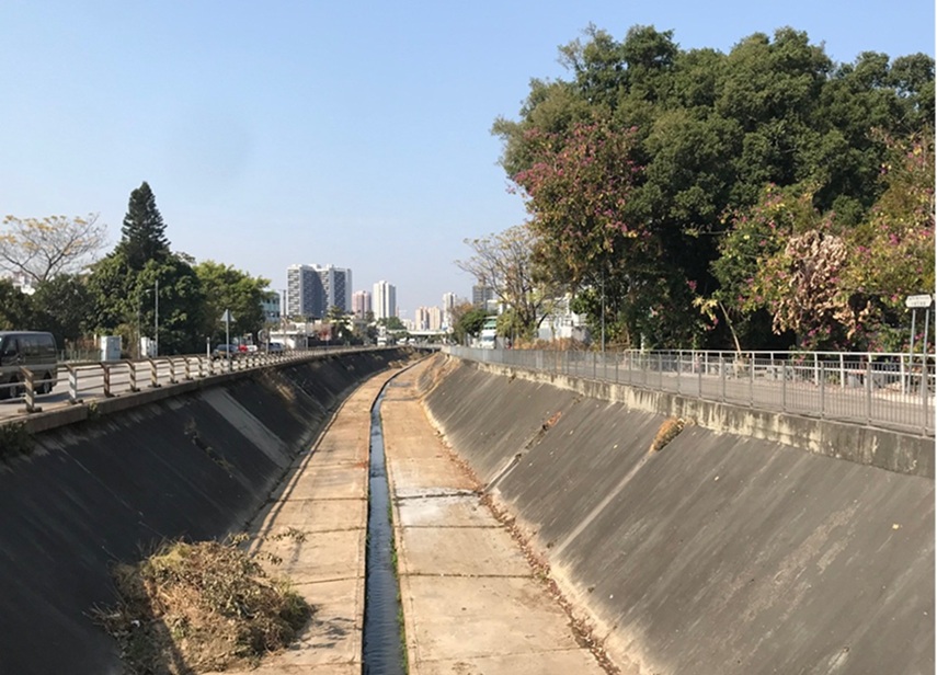 新界区 元朗