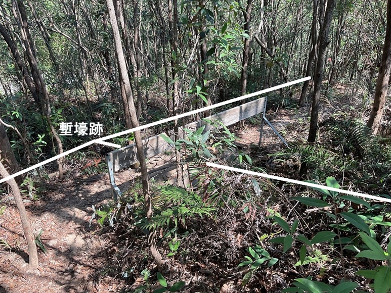 新界区 元朗