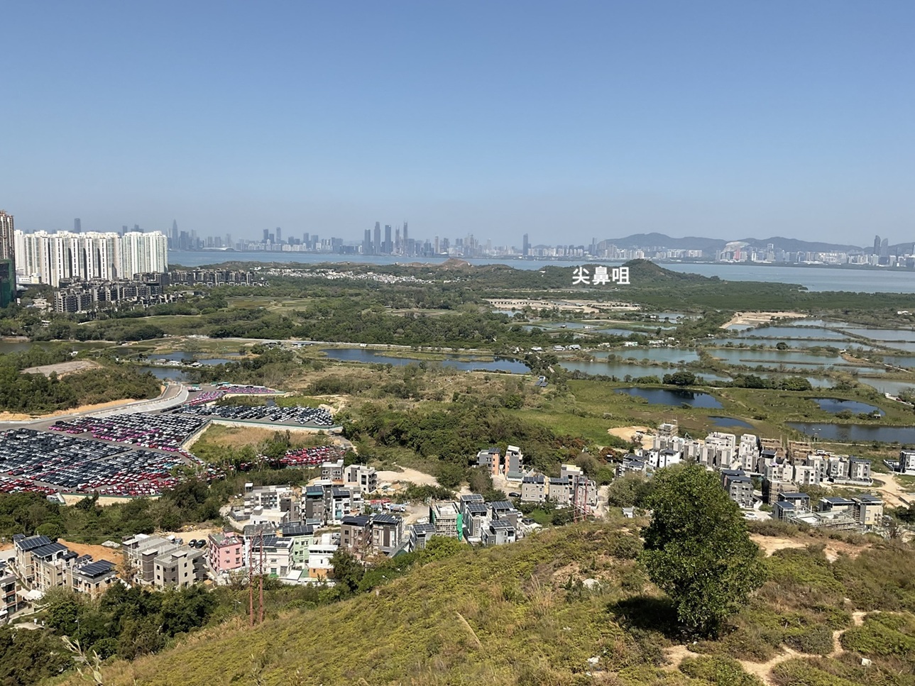 新界区 元朗